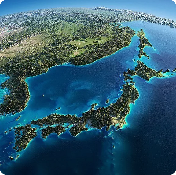 Ukon grown in Okinawa Japan