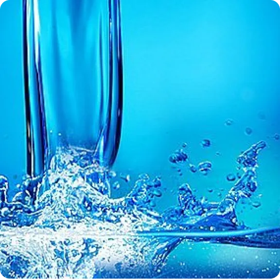 Purified using Kangen Water