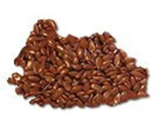 Evening Primrose Oil